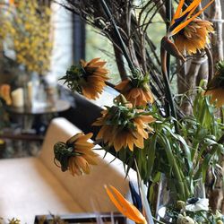 ザ・ガーデンオリエンタル大阪の写真8枚目