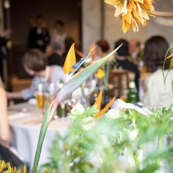 ザ・ガーデンオリエンタル大阪の写真13枚目