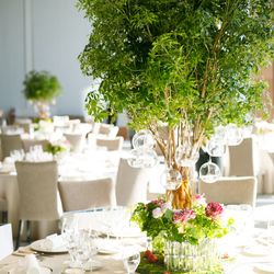 パレスホテル東京の写真17枚目