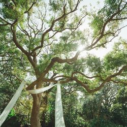 古我邸の写真31枚目