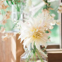 古我邸の写真36枚目