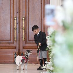 アートグレイス・ウエディングコースト 大阪の写真23枚目