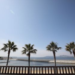 ラヴィマーナ神戸の写真8枚目