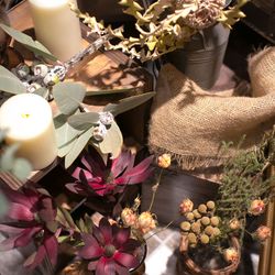 ラソールガーデン大阪の写真15枚目