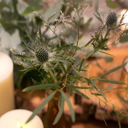 ラソールガーデン大阪の写真30枚目