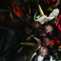 ザ・コンダーハウスの写真34枚目