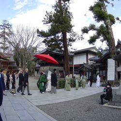 大國魂神社 結婚式場の写真2枚目