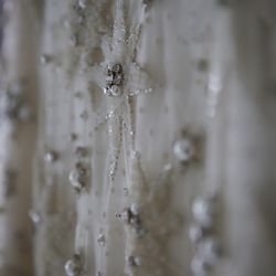 ザ ナンザンハウスの写真22枚目