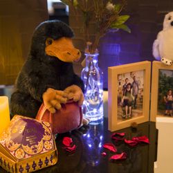 ジ・オリエンタルテラス ハイダウェイの写真34枚目