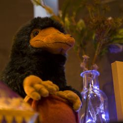 ジ・オリエンタルテラス ハイダウェイの写真3枚目