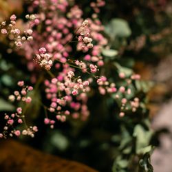 グレイスヒル・オーシャンテラスの写真25枚目