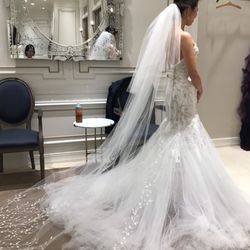 ザ・カワブンナゴヤの写真1枚目