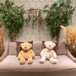 ラソールガーデン大阪の写真26枚目