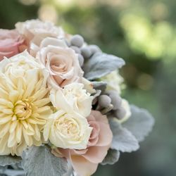 KOTOWA 奈良公園 Premium Viewの写真35枚目