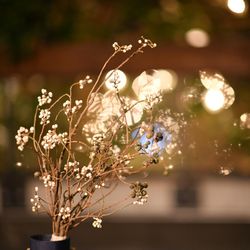 TRUNK HOTELの写真6枚目