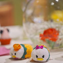 クアンティックの写真36枚目