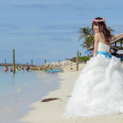 クアンティックの写真33枚目