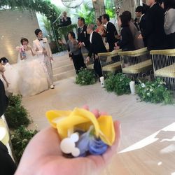 クアンティックの写真32枚目