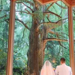 鶴見ノ森 迎賓館の写真5枚目