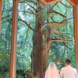 鶴見ノ森 迎賓館の写真36枚目