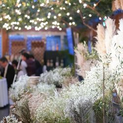 ぶどうの樹ウェディングの写真13枚目