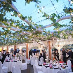 ぶどうの樹ウェディングの写真15枚目