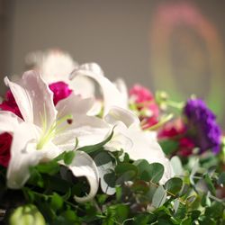 グランド ハイアット 東京の写真21枚目