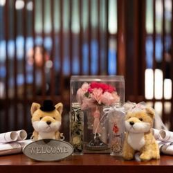 KOTOWA 奈良公園 Premium Viewの写真16枚目