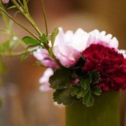 ホテル雅叙園東京の写真6枚目