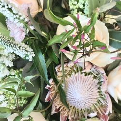 アートグレイス ネクスト アシヤの写真35枚目