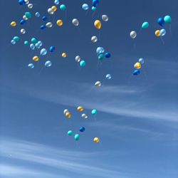 アートグレイス ネクスト アシヤの写真6枚目