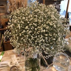 海辺のガーデンハウス リーベリアの写真5枚目