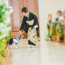 アートグレイス・ウエディングコースト 大阪の写真20枚目