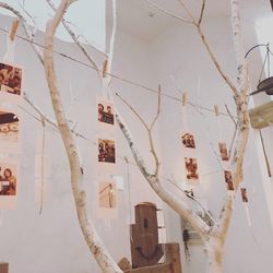 BARN＆FOREST148の写真32枚目