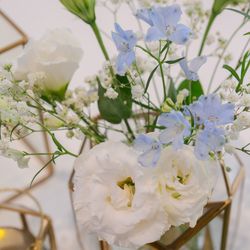 アニヴェルセル 東京ベイの写真34枚目