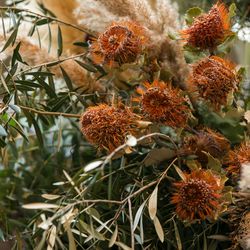 THE GATEHOUSEの写真27枚目