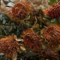 THE GATEHOUSEの写真34枚目