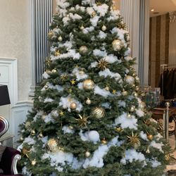 グラストニアの写真4枚目