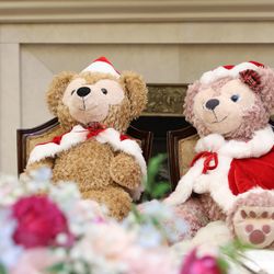 グラストニアの写真16枚目