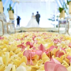 グラストニアの写真6枚目