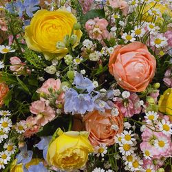 KOTOWA 奈良公園 Premium Viewの写真7枚目