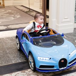 百花籠の写真16枚目