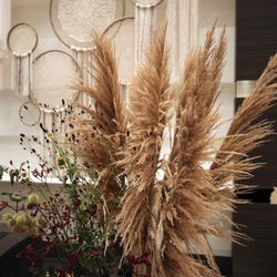 ヴィラ・アンジェリカの写真11枚目