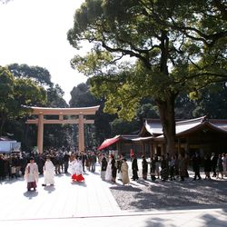 明治神宮・明治記念館の写真14枚目