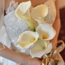 横浜迎賓館の写真14枚目