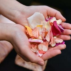 横浜迎賓館の写真18枚目