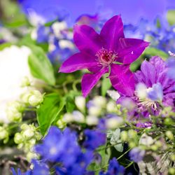 ザ・リッツ・カールトン大阪の写真5枚目