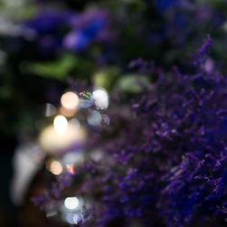 ザ・リッツ・カールトン大阪の写真24枚目