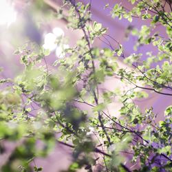 ザ・リッツ・カールトン大阪の写真13枚目