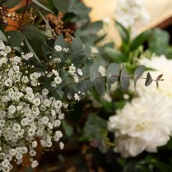 ザ・カワブンナゴヤの写真17枚目